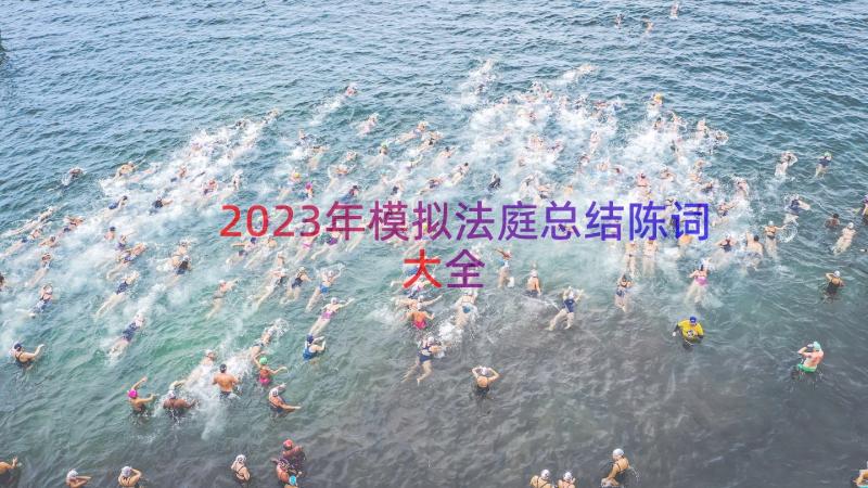 2023年模拟法庭总结陈词大全（17篇）