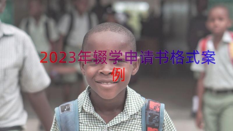 2023年辍学申请书格式（案例15篇）