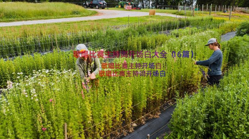 歌唱比赛主持词开场白大全（16篇）