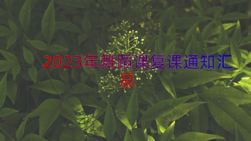 2023年舞蹈课复课通知（汇总16篇）