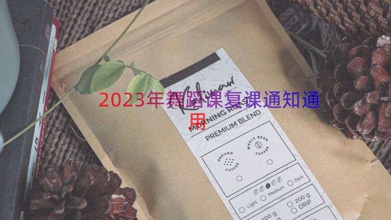 2023年舞蹈课复课通知（通用15篇）