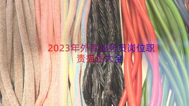 2023年外贸业务员岗位职责描述大全（12篇）