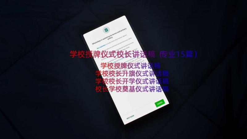 学校授牌仪式校长讲话稿（专业15篇）