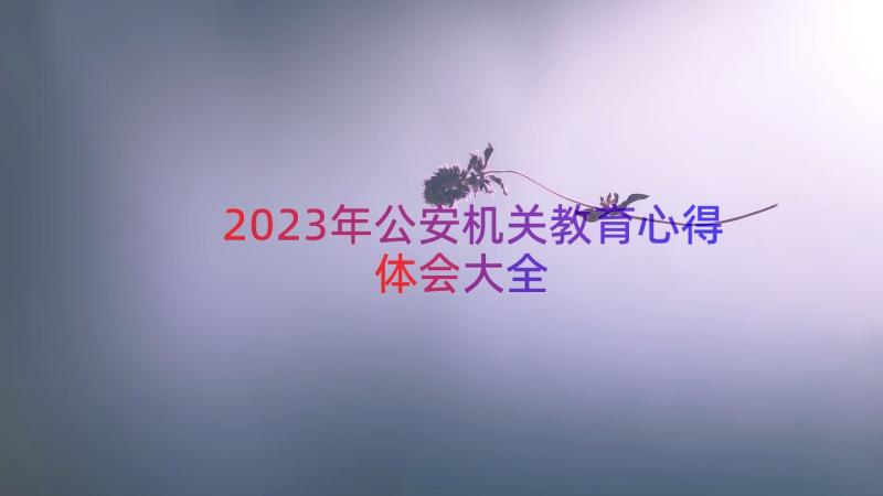 2023年公安机关教育心得体会大全（14篇）