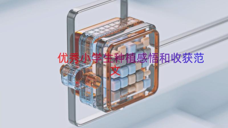 优秀小学生种植感悟和收获范文（18篇）