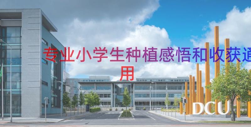 专业小学生种植感悟和收获（通用17篇）