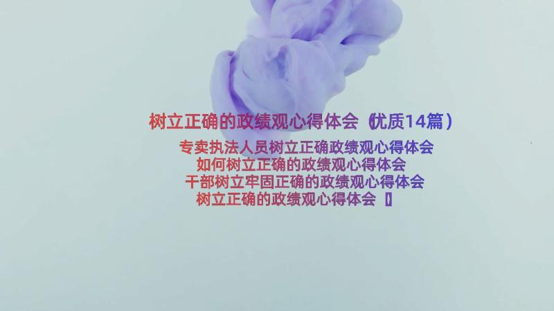 树立正确的政绩观心得体会（优质14篇）