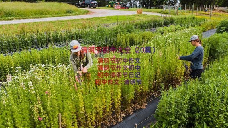 清明节初中大全（20篇）