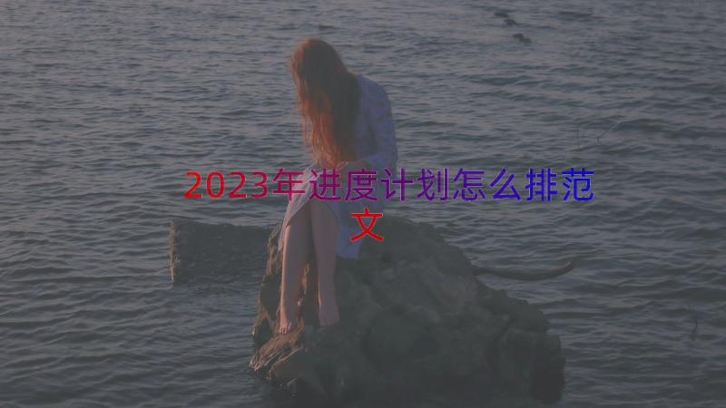 2023年进度计划怎么排范文（17篇）