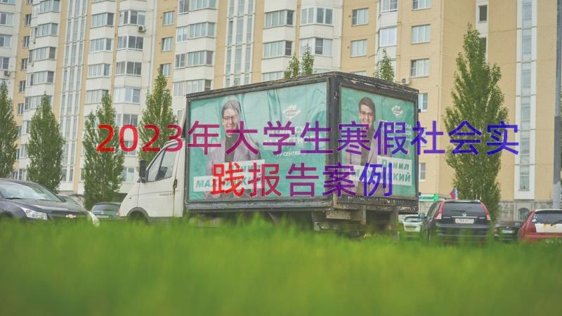 2023年大学生寒假社会实践报告（案例17篇）