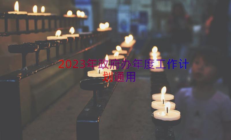 2023年政府办年度工作计划（通用16篇）