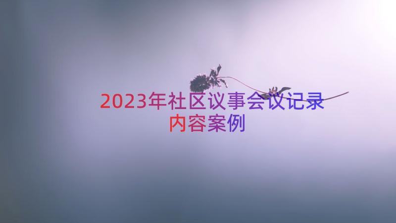 2023年社区议事会议记录内容（案例13篇）