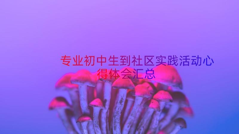 专业初中生到社区实践活动心得体会（汇总16篇）