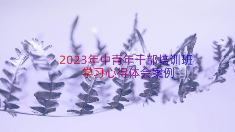 2023年中青年干部培训班学习心得体会（案例17篇）