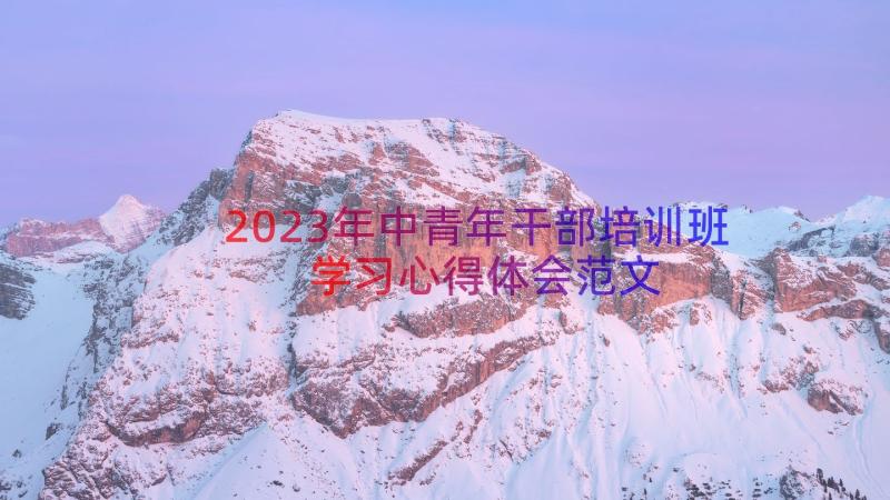 2023年中青年干部培训班学习心得体会范文（16篇）