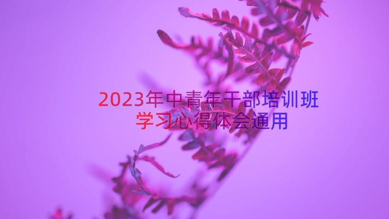 2023年中青年干部培训班学习心得体会（通用20篇）