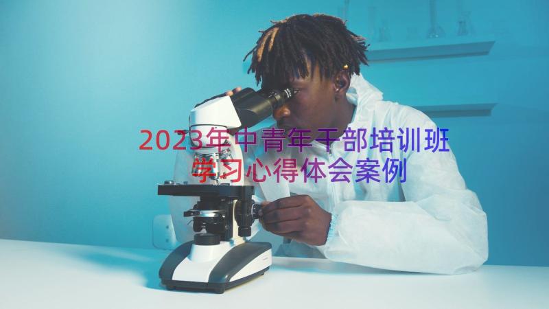 2023年中青年干部培训班学习心得体会（案例18篇）