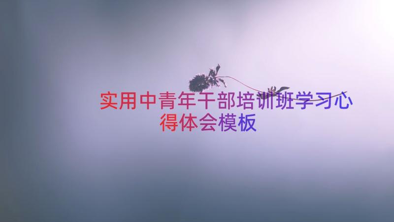 实用中青年干部培训班学习心得体会（模板21篇）