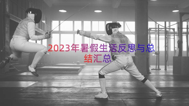 2023年暑假生活反思与总结（汇总16篇）