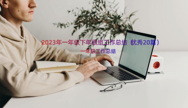 2023年一年级下年级组工作总结（优秀20篇）