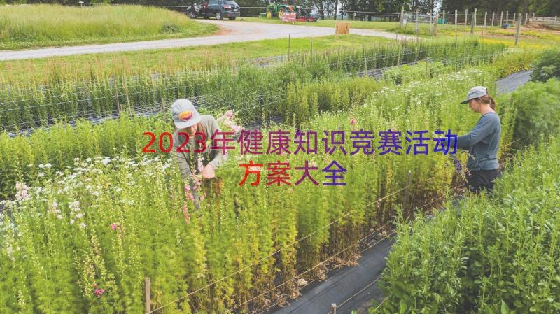 2023年健康知识竞赛活动方案大全（17篇）