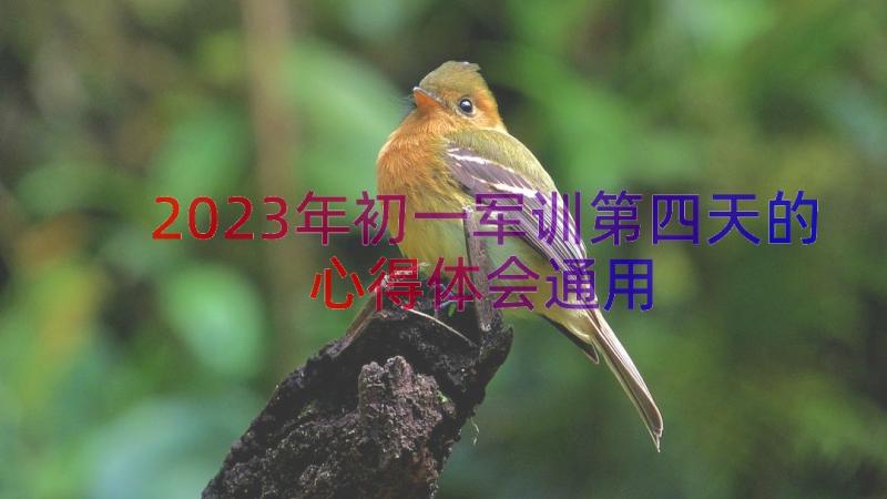 2023年初一军训第四天的心得体会（通用12篇）