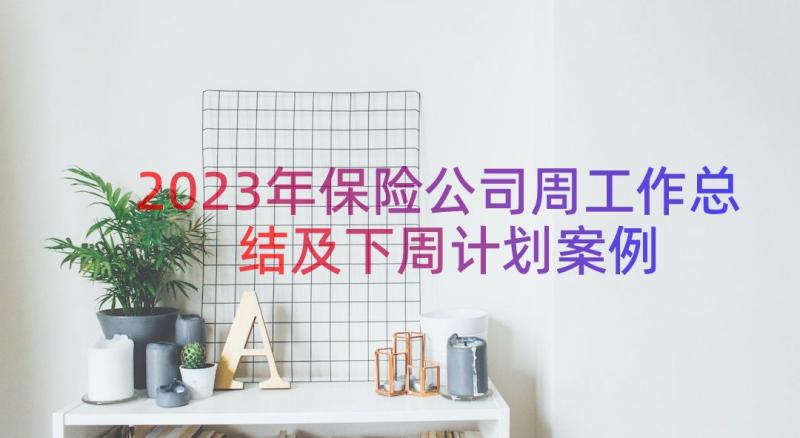 2023年保险公司周工作总结及下周计划（案例18篇）