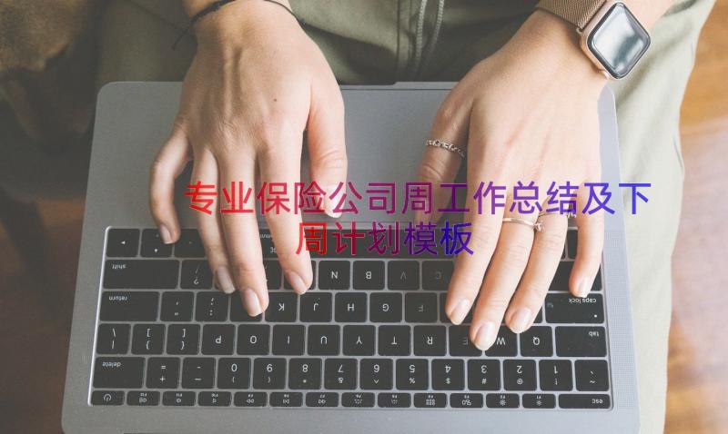 专业保险公司周工作总结及下周计划（模板13篇）