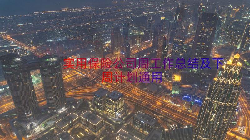 实用保险公司周工作总结及下周计划（通用16篇）