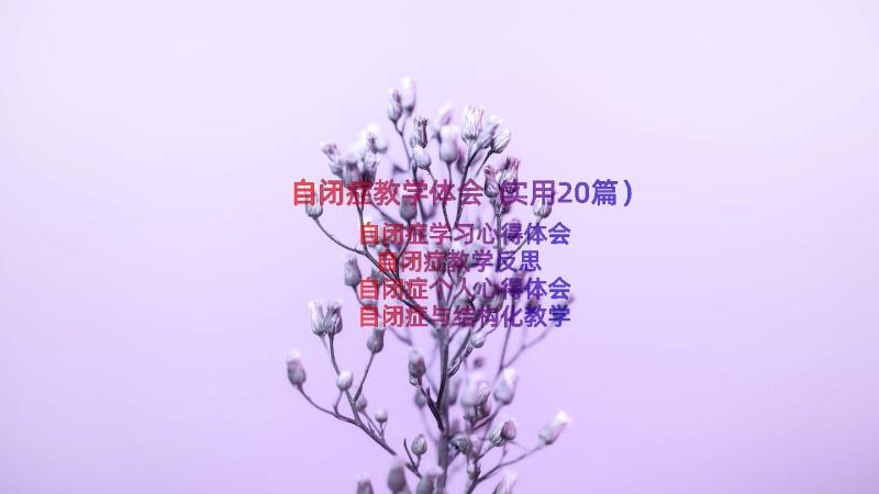 自闭症教学体会（实用20篇）