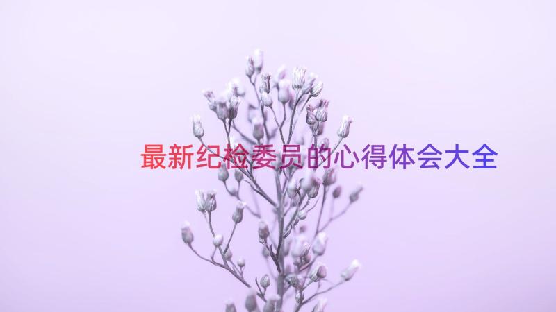 最新纪检委员的心得体会大全（13篇）