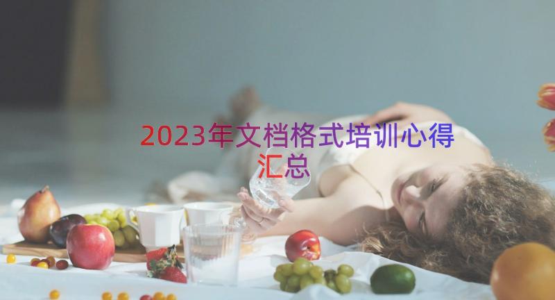 2023年文档格式培训心得（汇总13篇）