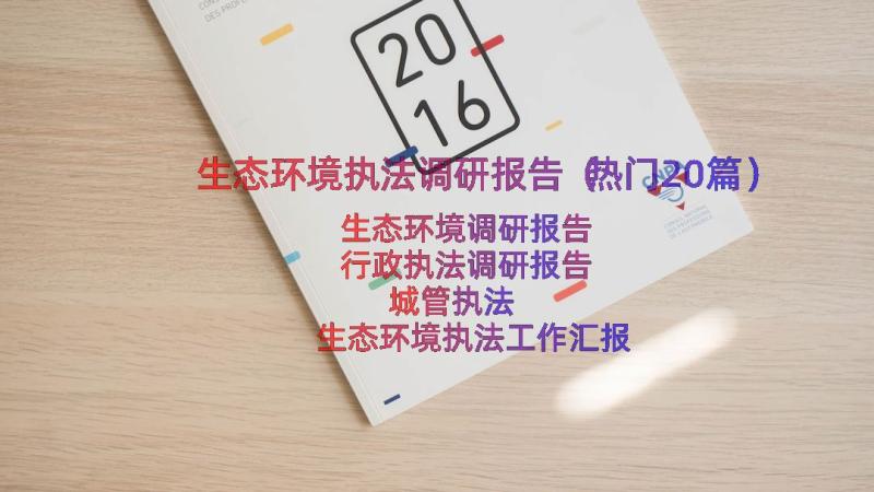 生态环境执法调研报告（热门20篇）