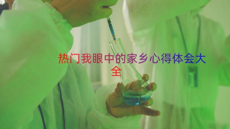 热门我眼中的家乡心得体会大全（18篇）