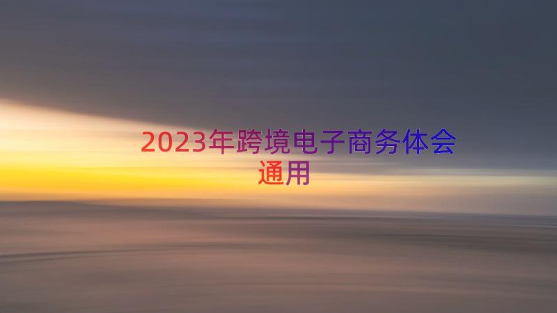 2023年跨境电子商务体会（通用16篇）