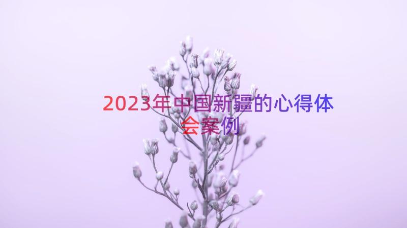2023年中国新疆的心得体会（案例14篇）