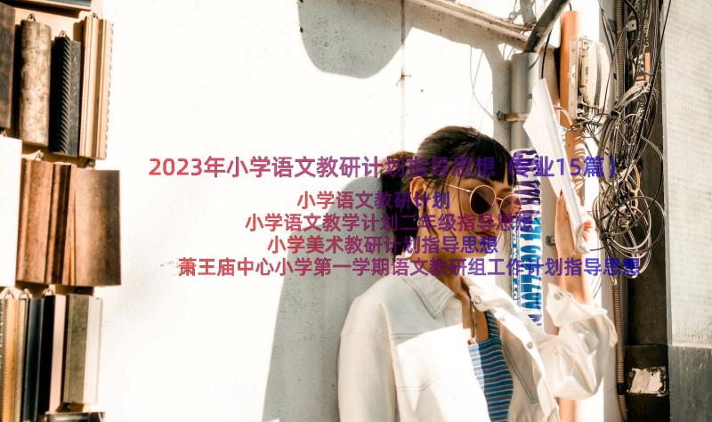 2023年小学语文教研计划指导思想（专业15篇）