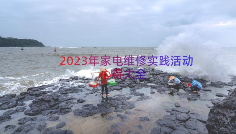 2023年家电维修实践活动心得大全（15篇）