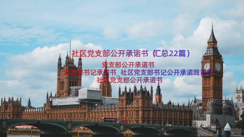 社区党支部公开承诺书（汇总22篇）