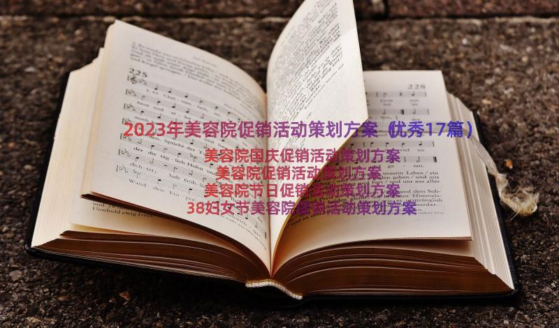 2023年美容院促销活动策划方案（优秀17篇）