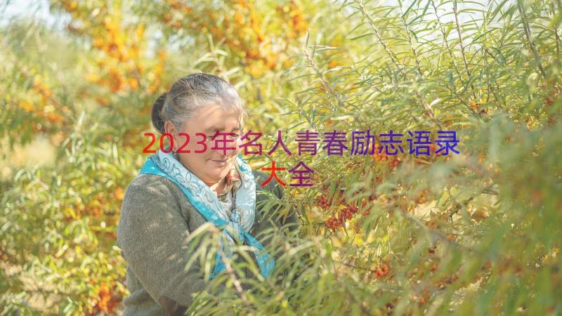 2023年名人青春励志语录大全（16篇）