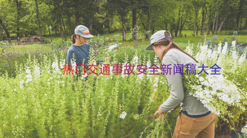 热门交通事故安全新闻稿大全（16篇）