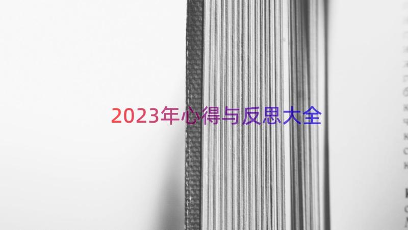 2023年心得与反思大全（13篇）