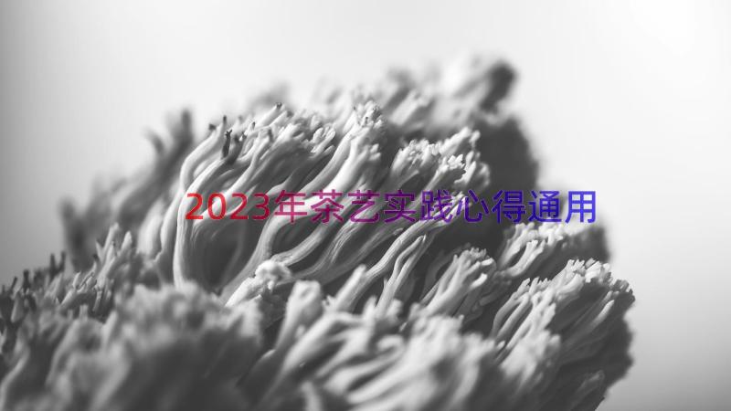 2023年茶艺实践心得（通用13篇）