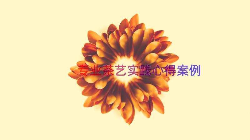 专业茶艺实践心得（案例14篇）