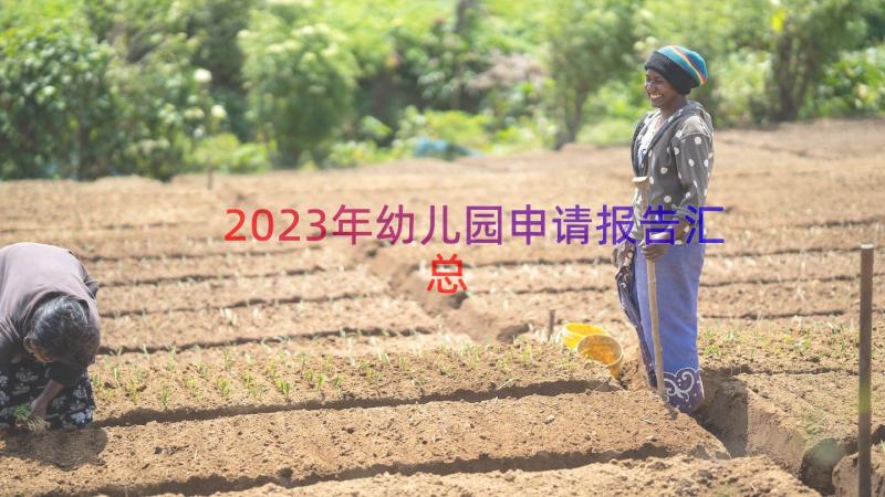 2023年幼儿园申请报告（汇总19篇）