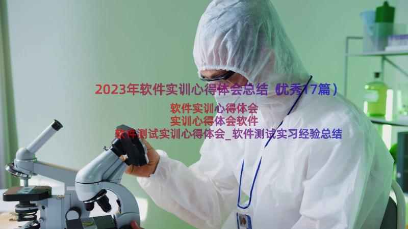 2023年软件实训心得体会总结（优秀17篇）