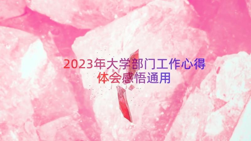 2023年大学部门工作心得体会感悟（通用13篇）