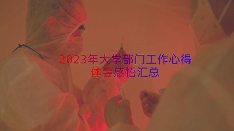 2023年大学部门工作心得体会感悟（汇总16篇）