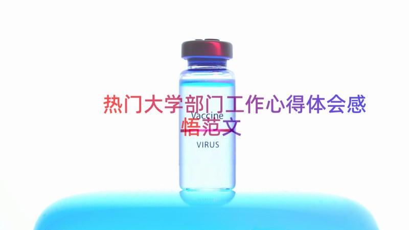 热门大学部门工作心得体会感悟范文（12篇）